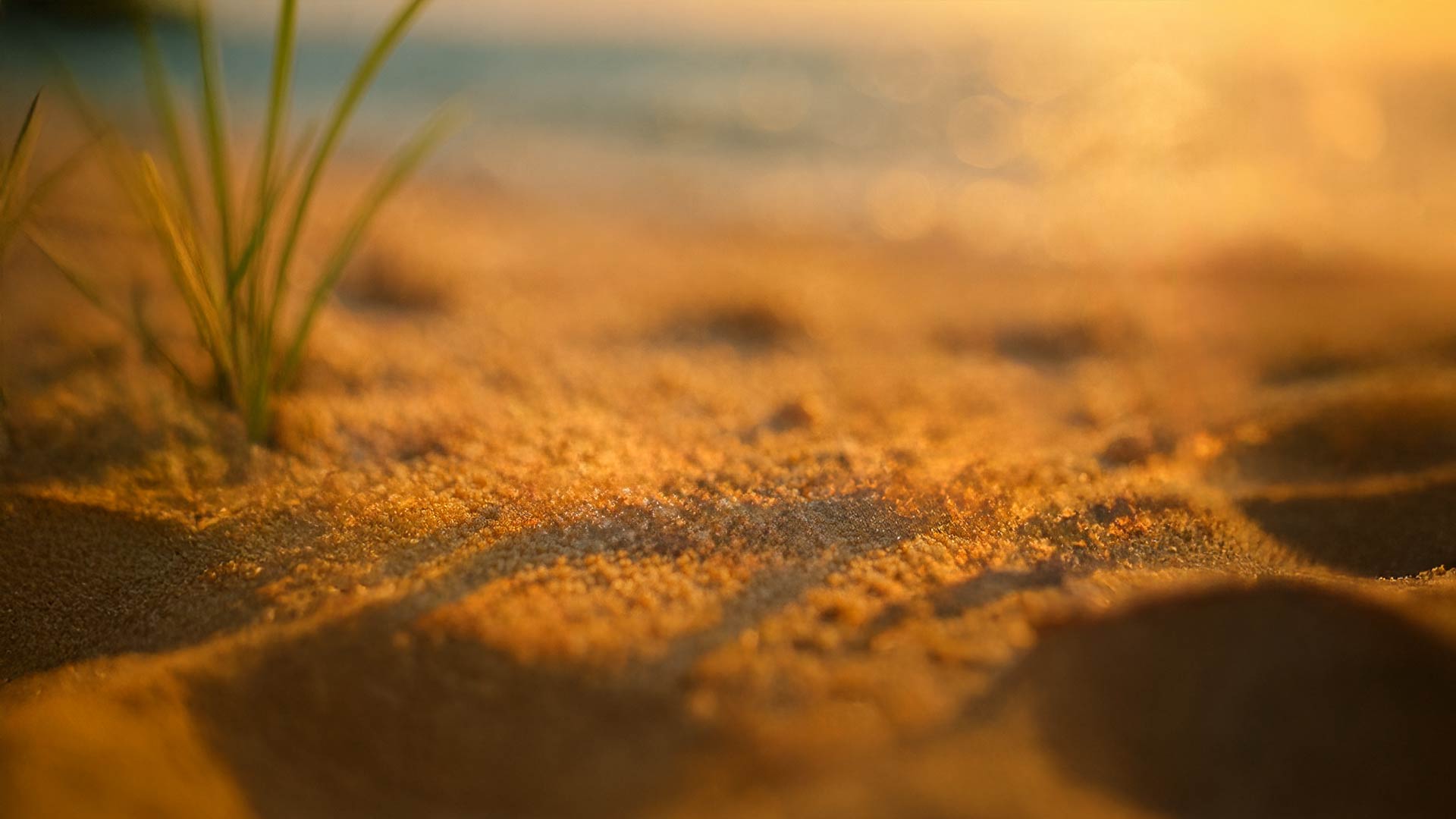 summer bg.jpg